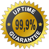 99.99% up time- Artefact Server